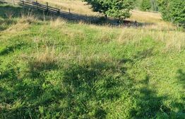 Teren într-o zonă superbă din Campulung Moldovenesc 