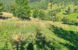 Teren într-o zonă superbă din Campulung Moldovenesc 