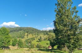 Teren intravilan, zonă superbă din Campulung Moldovenesc 