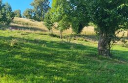 Teren într-o zonă superbă din Campulung Moldovenesc 