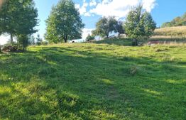 Teren într-o zonă superbă din Campulung Moldovenesc 