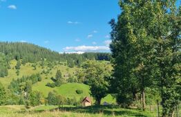 Teren într-o zonă superbă din Campulung Moldovenesc 