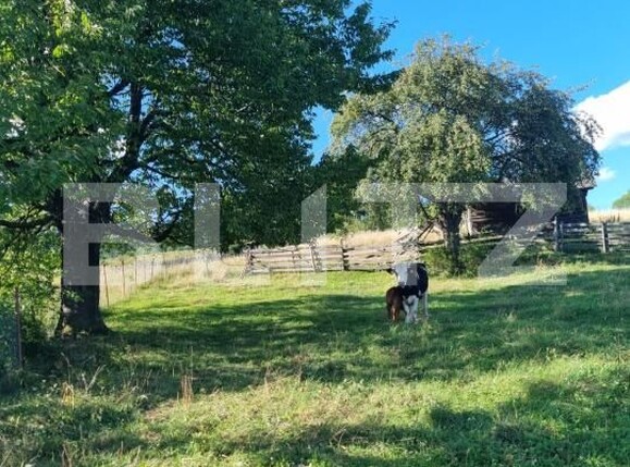 Teren de vânzare Exterior Vest - 176449TV | BLITZ Suceava | Poza6