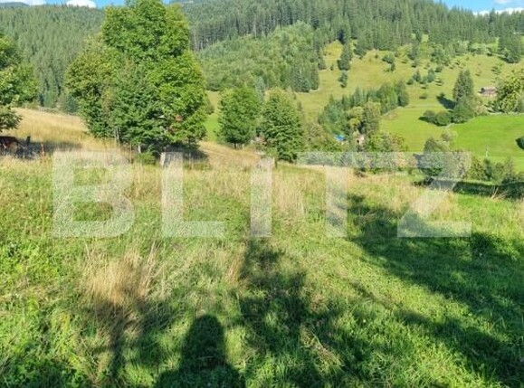 Teren de vânzare Exterior Vest - 176449TV | BLITZ Suceava | Poza7