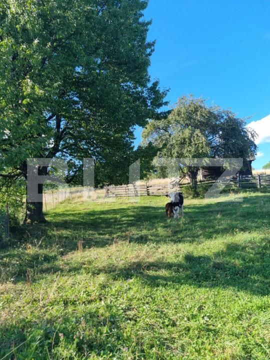 Teren de vânzare Exterior Vest - 176449TV | BLITZ Suceava | Poza6