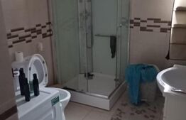 Casa înșiruită, mobilată, 110 mp utili, teren 124 mp, Sf. Ilie Nou