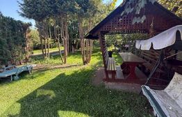 Ansamblu de doua case 223 mp utili, 1000 mp teren, zona Scheia