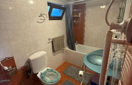 Ansamblu de doua case 223 mp utili, 1000 mp teren, zona Scheia