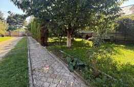 Ansamblu de doua case 223 mp utili, 1000 mp teren, zona Scheia