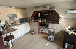 Ansamblu de doua case 223 mp utili, 1000 mp teren, zona Scheia