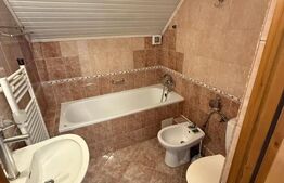 Ansamblu de doua case 223 mp utili, 1000 mp teren, zona Scheia