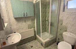 Ansamblu de doua case 223 mp utili, 1000 mp teren, zona Scheia