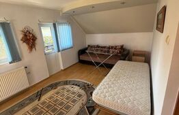 Ansamblu de doua case 223 mp utili, 1000 mp teren, zona Scheia