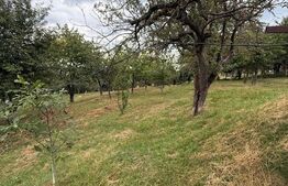 Casa etaj, 140 mp utili, 4800 mp teren, Adâncata