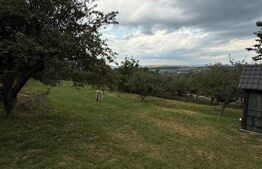 Casa etaj, 140 mp utili, 4800 mp teren, Adâncata