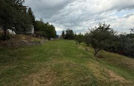 Casa etaj, 140 mp utili, 4800 mp teren, Adâncata
