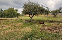 Casa etaj, 140 mp utili, 4800 mp teren, Adâncata