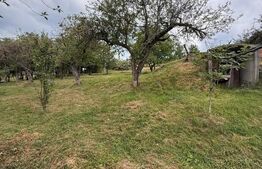 Casa etaj, 140 mp utili, 4800 mp teren, Adâncata