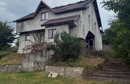 Casa etaj, 140 mp utili, 4800 mp teren, Adâncata