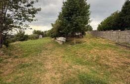 Casa etaj, 140 mp utili, 4800 mp teren, Adâncata
