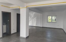 Spatiu birouri/comercial 176 mp, Burdujeni