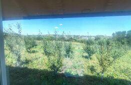 Căsuță tip foișor, 30 mp, pe un teren de 3.000 mp, vedere panoramică, Mihaiesti