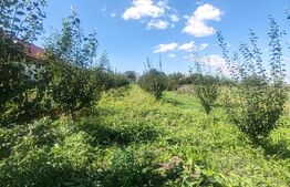 Căsuță tip foișor, 30 mp, pe un teren de 3.000 mp, vedere panoramică, Mihaiesti