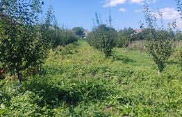 Căsuță tip foișor, 30 mp, pe un teren de 3.000 mp, vedere panoramică, Mihaiesti