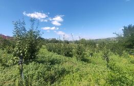 Căsuță tip foișor, 30 mp, pe un teren de 3.000 mp, vedere panoramică, Mihaiesti