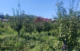 Căsuță tip foișor, 30 mp, pe un teren de 3.000 mp, vedere panoramică, Mihaiesti