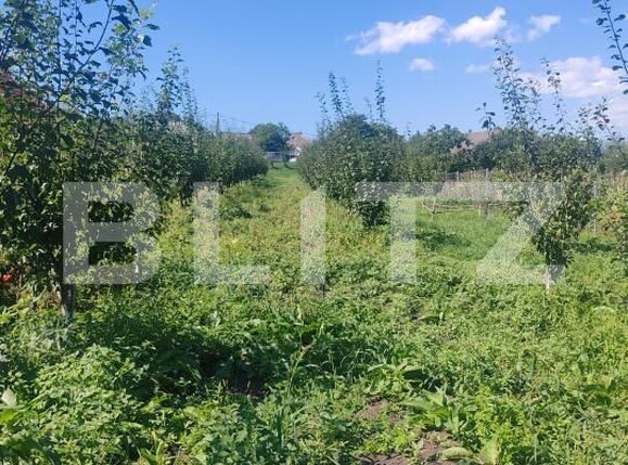 Casa de vânzare 1 camera Sud Vest - 176679CV | BLITZ Suceava | Poza6