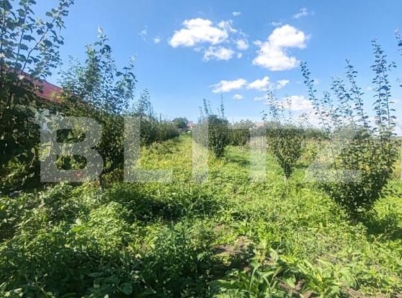 Casa de vânzare 1 camera Sud Vest - 176679CV | BLITZ Suceava | Poza1