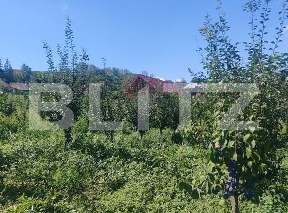 Casa de vânzare 1 camera Sud Vest - 176679CV | BLITZ Suceava | Poza7