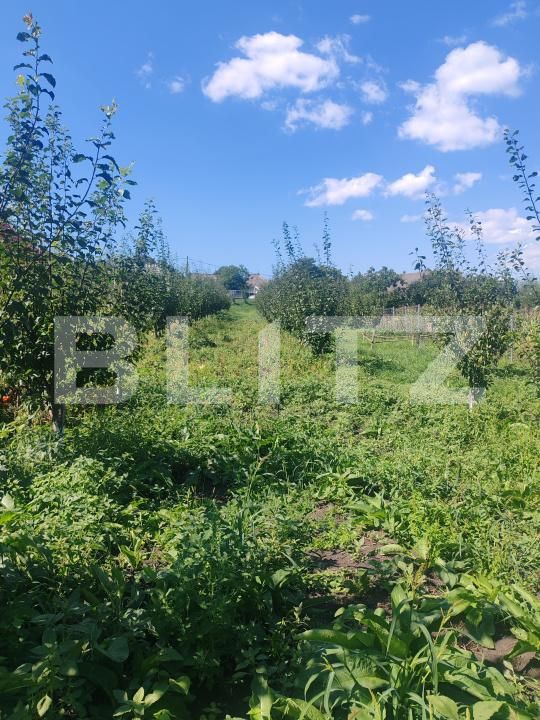 Casa de vânzare 1 camera Sud Vest - 176679CV | BLITZ Suceava | Poza6