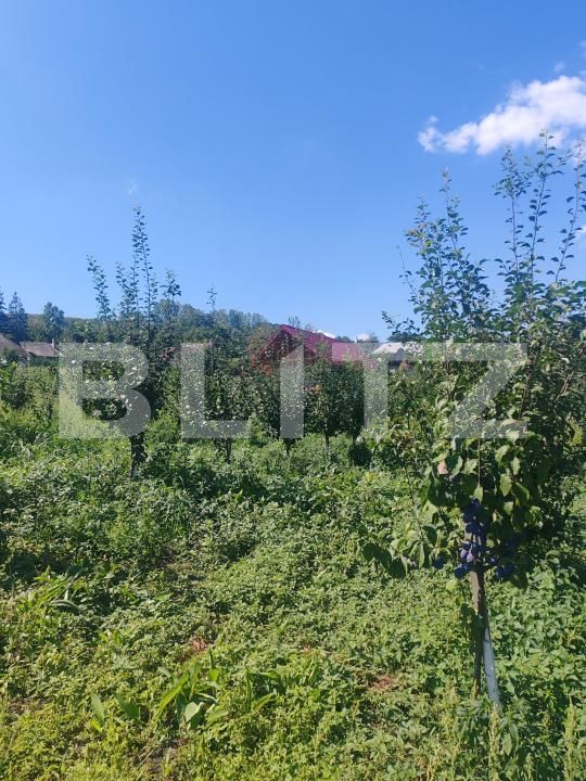 Casa de vânzare 1 camera Sud Vest - 176679CV | BLITZ Suceava | Poza7