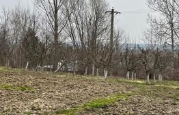 Teren intravilan, 2100 mp, deschidere 26 ml - Siret