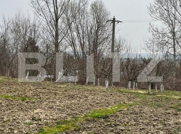 Teren de vânzare Siret - 176746TV | BLITZ Suceava | Poza1