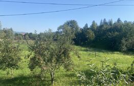 Teren in Doroteia, Plutonița, 3880 mp, intravilan 