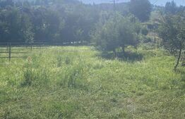 Teren in Doroteia, Plutonița, 3880 mp, intravilan 