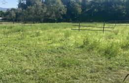 Teren in Doroteia, Plutonița, 3880 mp, intravilan 