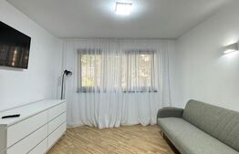Apartament 2 camere, 40mp, decomandat, renovat complet, George Enescu