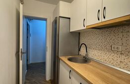 Apartament 2 camere, 40mp, decomandat, renovat complet, George Enescu