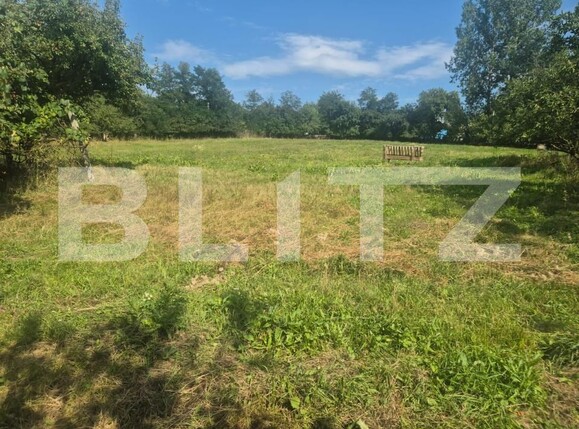 Casa de închiriat 4 camere Exterior Nord - 176972CI | BLITZ Suceava | Poza10