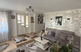 Casa/Vila multifunctioanala  230 mp utili, 520 mp teren, zona Burdujeni