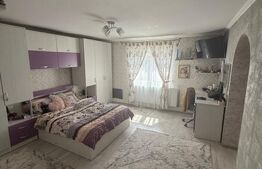 Casa/Vila multifunctioanala  230 mp utili, 520 mp teren, zona Burdujeni