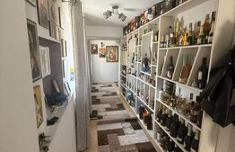 Casa/Vila multifunctioanala  230 mp utili, 520 mp teren, zona Burdujeni