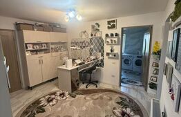 Casa/Vila multifunctioanala  230 mp utili, 520 mp teren, zona Burdujeni