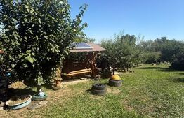 Teren intravilan, 2232 mp, Lisaura