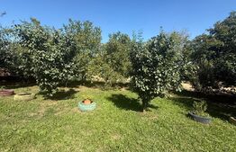 Teren intravilan, 2232 mp, Lisaura