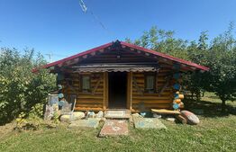 Teren intravilan, 2232 mp, Lisaura